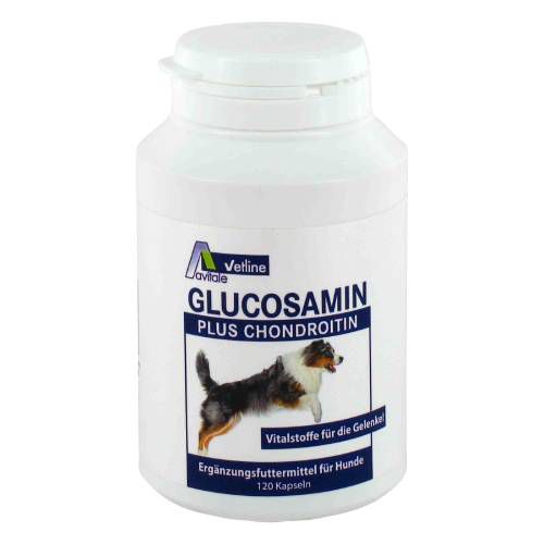 GLUCOSAMIN+CHONDROITIN Kapseln für Hunde 120 St Nahrungsergänzung